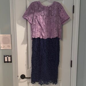 Elegant Lace Two-Tone Dress Anthropologie